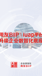 用友BIP | iuap产品画册