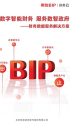 用友政务-财务数据服务解决方案
