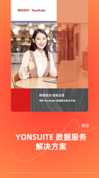 YonSuite数据服务 画册