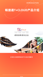 畅捷通T+Cloud用友网络科技