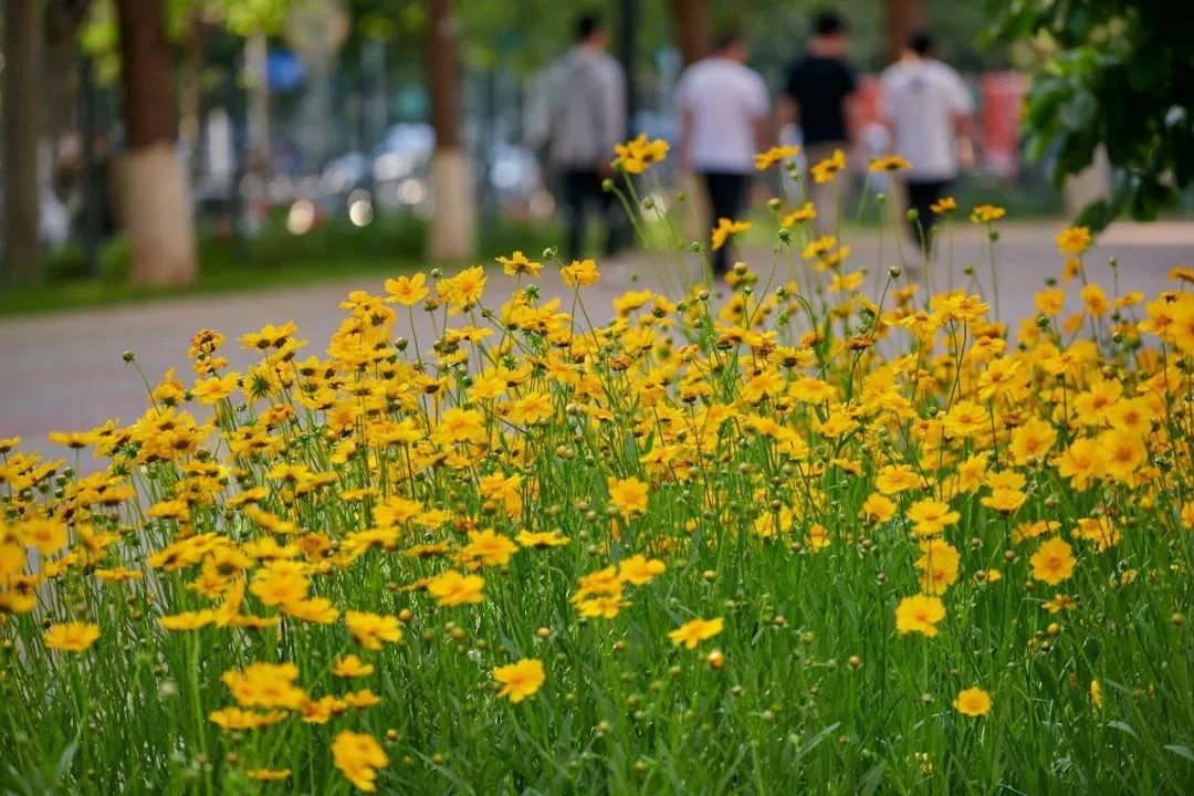 泉州市登泽信息科技有限公司