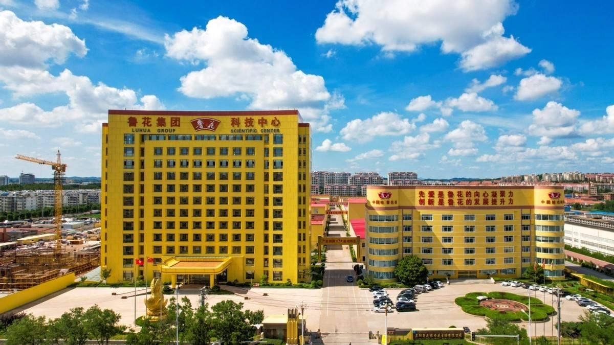 战略合作|用友 × 鲁花集团:以企业 AI 重塑经营管理全链路